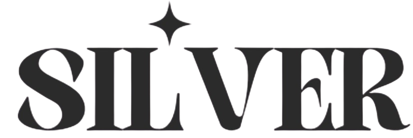 SILVER CAPITAL FINANCE  